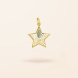 10K Gold Fluted Star Charm