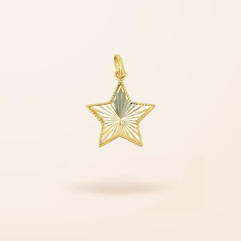 10K Gold Fluted Star Charm