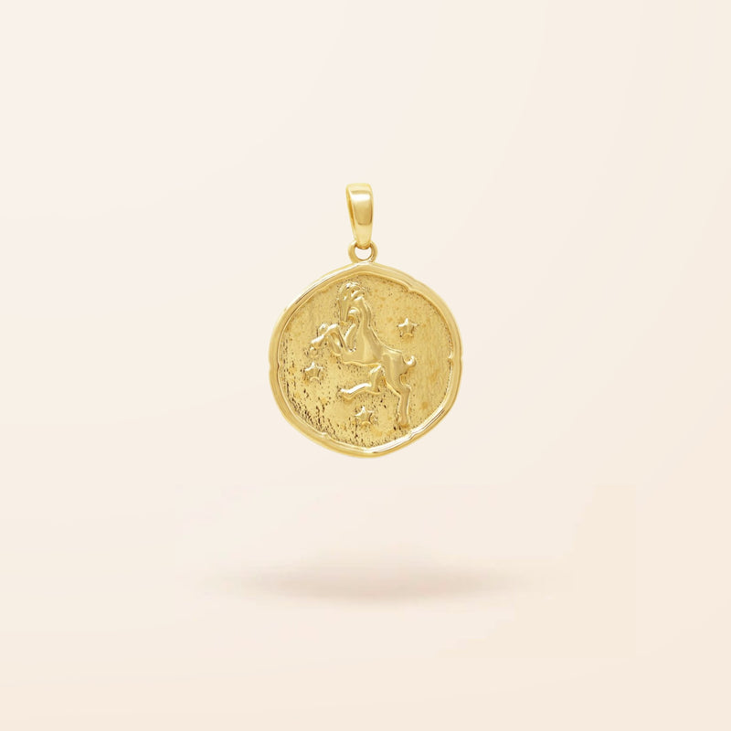 10K Gold Zodiac Disc Charm